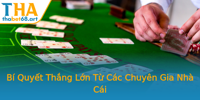 Bí Quyết Thắng Lớn Từ Các Chuyên Gia Nhà Cái Bí Quyết Thắng Lớn Từ Các Chuyên Gia Nhà Cái