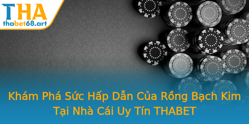 Khám Phá Sức Hấp Dẫn Của Rồng Bạch Kim Tại Nhà Cái Uy Tín THABET Khám Phá Sức Hấp Dẫn Của Rồng Bạch Kim Tại Nhà Cái Uy Tín THABET