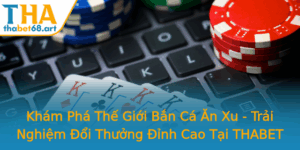 Kham Pha The Gioi Ban Ca An Xu Trai Nghiem Oi Thuong Inh Cao Tai Thabet 1