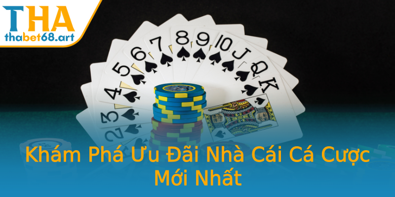 Khám Phá Ưu Đãi Nhà Cái Cá Cược Mới Nhất Khám Phá Ưu Đãi Nhà Cái Cá Cược Mới Nhất