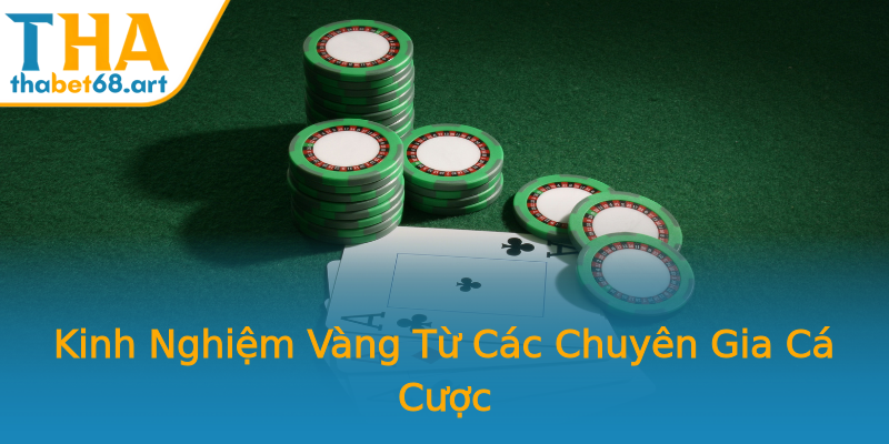 Kinh Nghiệm Vàng Từ Các Chuyên Gia Cá Cược Kinh Nghiệm Vàng Từ Các Chuyên Gia Cá Cược