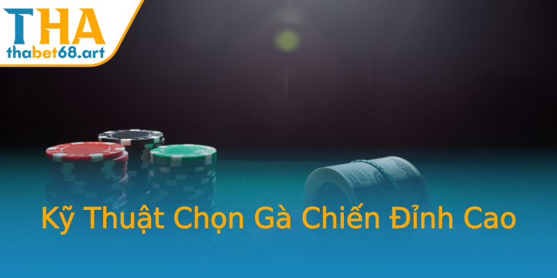 Kỹ Thuật Chọn Gà Chiến Đỉnh Cao Kỹ Thuật Chọn Gà Chiến Đỉnh Cao