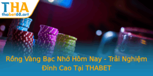 Rong Vang Bac Nho Hom Nay Trai Nghiem Inh Cao Tai Thabet