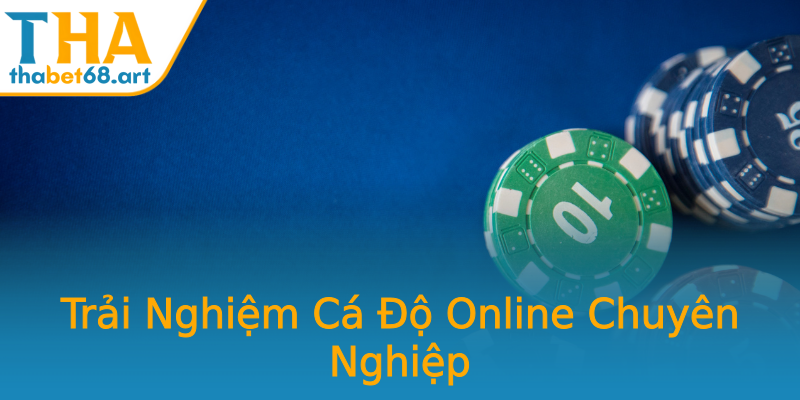 Trải Nghiệm Cá Độ Online Chuyên Nghiệp Trải Nghiệm Cá Độ Online Chuyên Nghiệp